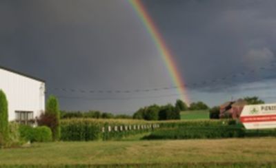 Pioneer History 2001